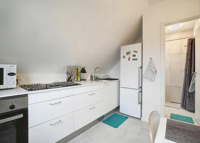 Ama Hyg Atelier Copenhagen-nice Topfloor Daire *